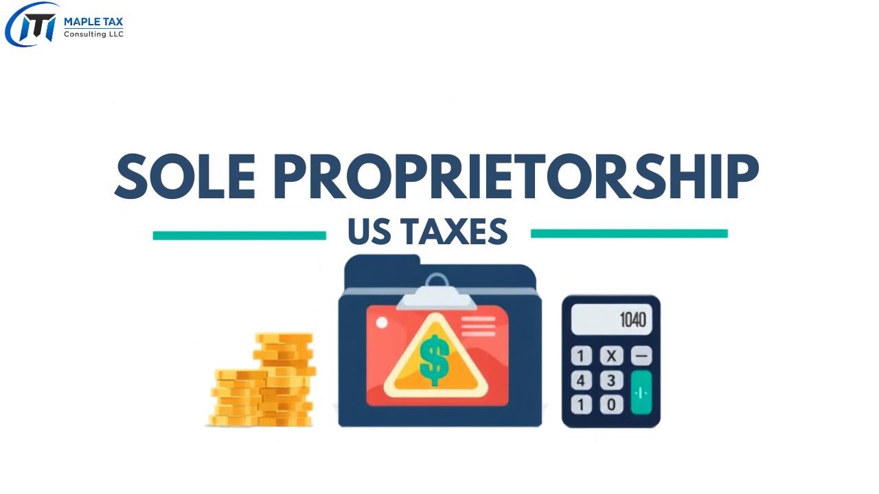 SOLE PROPRIETORSHIP IN US TAXATION